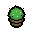 Lil' Cacti